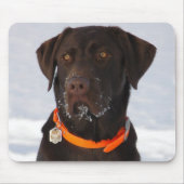 Schokolade Labrador Mousepad (Vorne)
