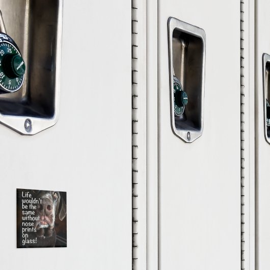 Schokolade-Labrador-Nase Nah-Up-Foto Magnet (In Situ (Schrank))