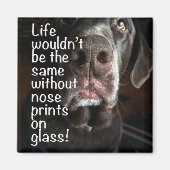 Schokolade-Labrador-Nase Nah-Up-Foto Magnet (Vorne)