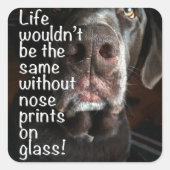 Schokolade-Labrador-Nase Nah-Up-Foto Quadratischer Aufkleber (Vorderseite)