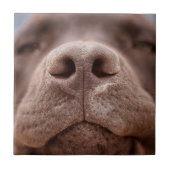 Schokolade-Labrador-Nase-Schließung Fliese (Vorderseite)