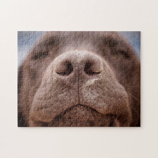 Schokolade-Labrador-Nase-Schließung Puzzle (Horizontal)
