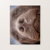 Schokolade-Labrador-Nase-Schließung Puzzle (Vertikal)