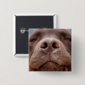Schokolade-Labrador-Nasennähe Button (Vorne & Hinten)
