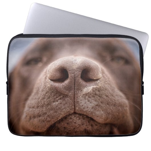 Schokolade-Labrador-Nasennähe Laptopschutzhülle (Vorderseite)