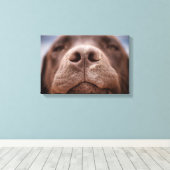 Schokolade-Labrador-Nasennähe Leinwanddruck (Insitu (Holzboden))