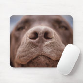 Schokolade-Labrador-Nasennähe Mousepad (Mit Mouse)