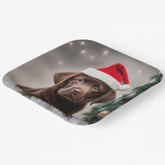 Schokolade Labrador Pappteller (Gewinkelt)