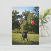 Schokolade Labrador Party Einladung (Stehend Vorderseite)