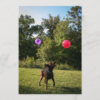 Schokolade Labrador Party Einladung