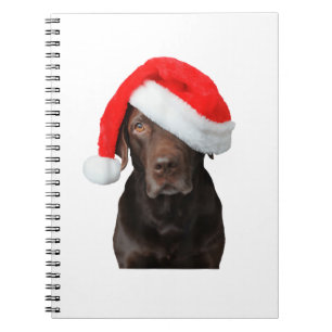 Schokolade Labrador Picture Weihnachtsmannmütze Ni Notizblock