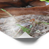 Schokolade Labrador Pit Mix Dog and Toy Fotodruck (Ecke)