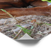 Schokolade Labrador Pit Mix Dog and Toy Poster (Ecke)