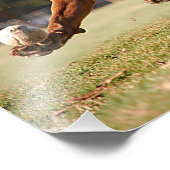 Schokolade Labrador Pit Mix Dog Chasing Ball Fotodruck (Ecke)