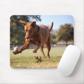 Schokolade Labrador Pit Mix Dog Chasing Ball Mousepad (Mit Mouse)