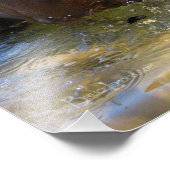 Schokolade Labrador Pit Mix Dog Drooling Fotodruck (Ecke)