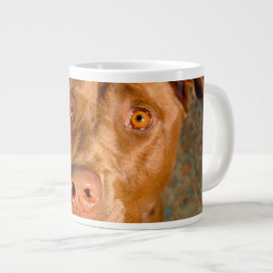 Schokolade Labrador Pit Mix Dog Jumbo-Tasse