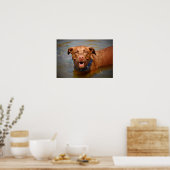 Schokolade Labrador Pit Mix Dog Lächeln Poster (Küche)