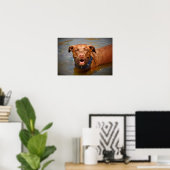 Schokolade Labrador Pit Mix Dog Lächeln Poster (Heimbüro)