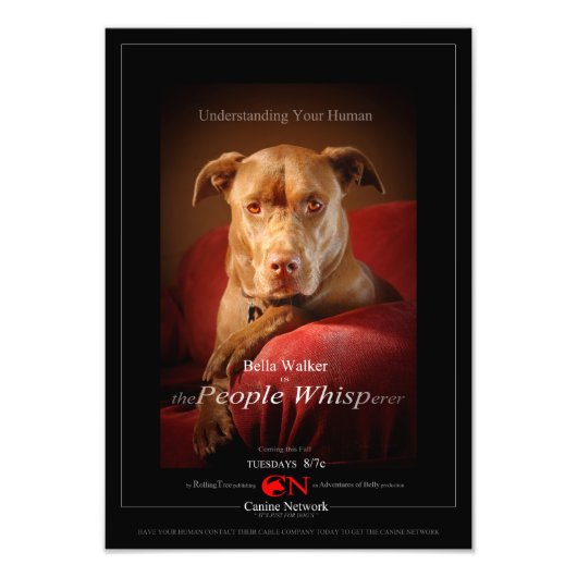 Schokolade Labrador Pit Mix Dog Movie Poster (Vorne)
