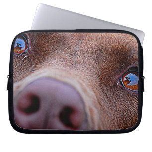 Schokolade Labrador Pit Mix Dog Nase Laptopschutzhülle