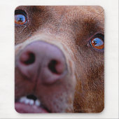 Schokolade Labrador Pit Mix Dog Nase Mousepad (Vorne)