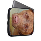 Schokolade Labrador Pit Mix Dog Portrait 2 Laptopschutzhülle (Vorne Rechts)