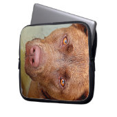 Schokolade Labrador Pit Mix Dog Portrait 2 Laptopschutzhülle (Vorderseite Links)
