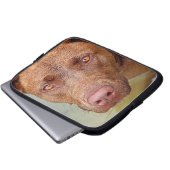 Schokolade Labrador Pit Mix Dog Portrait 2 Laptopschutzhülle (Vorne Knopf)