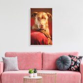 Schokolade Labrador Pit Mix Dog Portrait 3 Leinwanddruck (Insitu (Wohnzimmer))