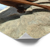 Schokolade Labrador Pit Mix Dog Portrait 6 Poster (Ecke)