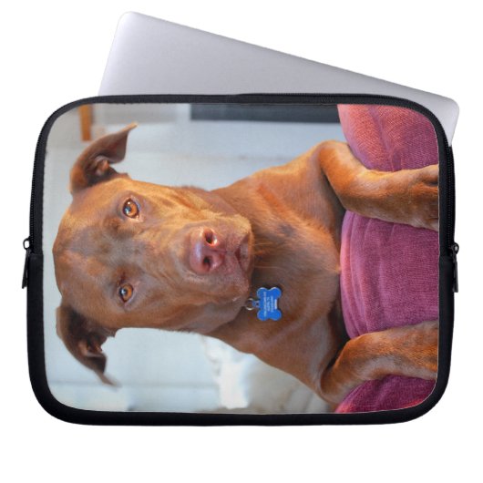 Schokolade Labrador Pit Mix Dog Portrait Laptopschutzhülle (Vorderseite)