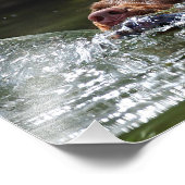 Schokolade Labrador Pit Mix Dog Schwimmen 5 Fotodruck (Ecke)