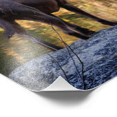 Schokolade Labrador Pit Mix Dog Serene Fotodruck (Ecke)