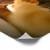 Schokolade Labrador Pit Mix Dog Umarmung Poster (Ecke)