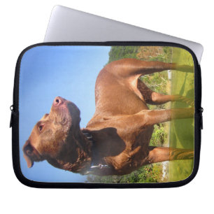Schokolade Labrador Pit Mix Dog Wading Laptopschutzhülle