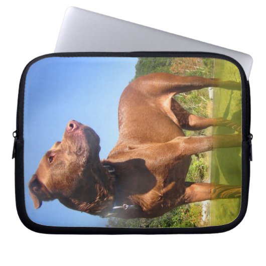 Schokolade Labrador Pit Mix Dog Wading Laptopschutzhülle (Vorderseite)