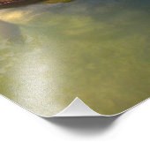 Schokolade Labrador Pit Mix Hund Fischen 3 Fotodruck (Ecke)