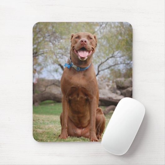Schokolade Labrador Pit Mix Hund Lächeln 2 Mousepad (Mit Mouse)