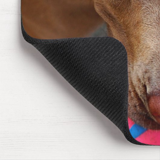 Schokolade Labrador Pit Mix Hund mit Ball 2 Mousepad (Ecke)