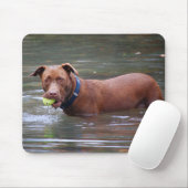Schokolade Labrador Pit Mix Hund mit Ball Mousepad (Mit Mouse)