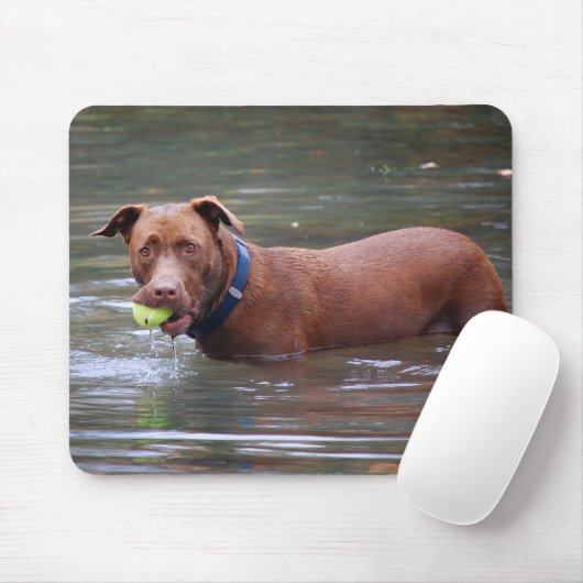 Schokolade Labrador Pit Mix Hund mit Ball Mousepad (Mit Mouse)