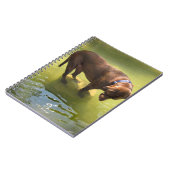 Schokolade Labrador Pit Mix Hund Suche nach Fisch Notizblock (Linke Seite)