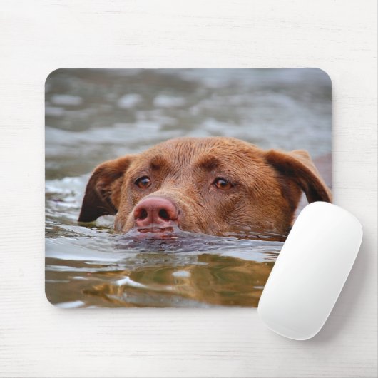 Schokolade Labrador Pit Mix Welpen Schwimmen Mousepad (Mit Mouse)