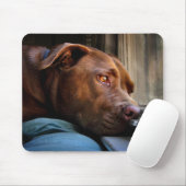 Schokolade Labrador Pit Puppy-Fenster beobachten Mousepad (Mit Mouse)