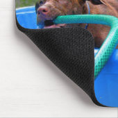 Schokolade Labrador Pit Puppy in Wading Pool 2 Mousepad (Ecke)
