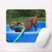 Schokolade Labrador Pit Puppy in Wading Pool 2 Mousepad (Mit Mouse)