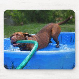 Schokolade Labrador Pit Puppy in Wading Pool 2 Mousepad