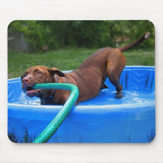 Schokolade Labrador Pit Puppy in Wading Pool 2 Mousepad (Vorne)