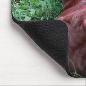 Schokolade Labrador Pit Puppy Playing mit Ball Mousepad (Ecke)